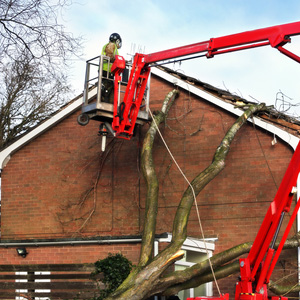 Electrical service restoration